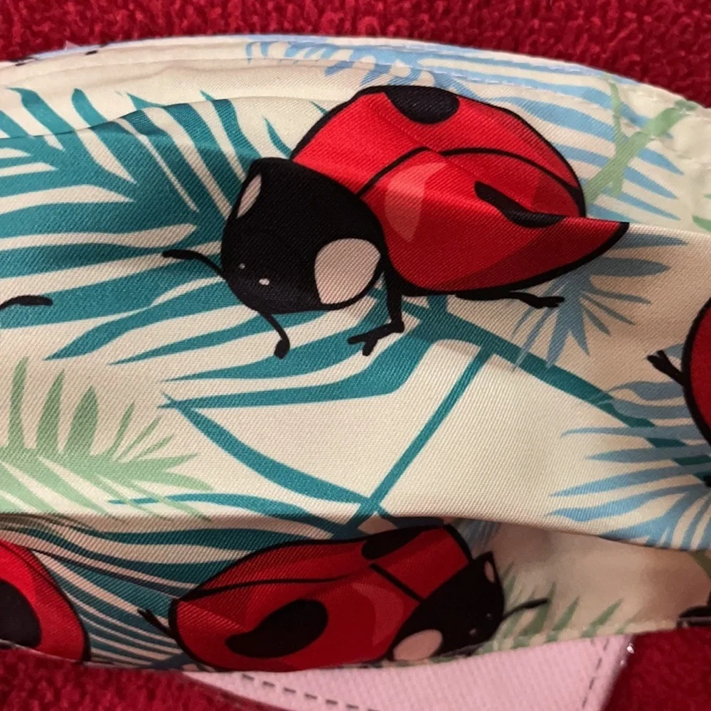 New ladybug face mask